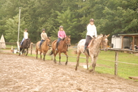 COURS CHEVAUX